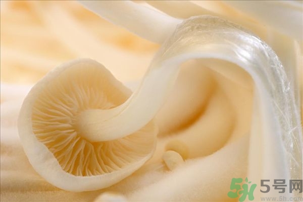 致癌金針菇怎么鑒別？如何選購(gòu)金針菇？