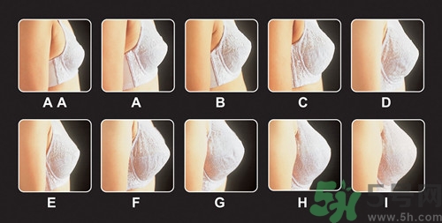 a罩杯摸起來怎么樣?a罩杯摸起來像什么 a罩杯摸起來怎么樣?a罩杯摸起來像什么