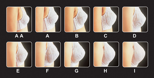 d罩杯摸著什么感覺(jué)?d罩杯的手感圖