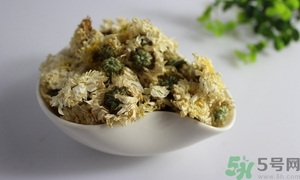 野菊花怎么處理后泡茶喝?野菊花泡茶需要洗嗎