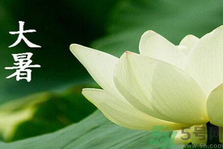 大暑是入伏嗎？大暑是最熱的時候嗎？