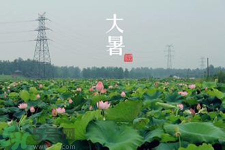 大暑吃什么水果？大暑吃什么水果養(yǎng)生？