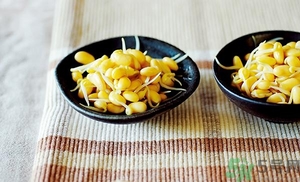 黃豆芽能涼拌嗎？涼拌黃豆芽的家常做法