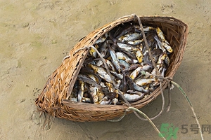 洪水里的魚能吃嗎？洪水里的魚可不可以吃？