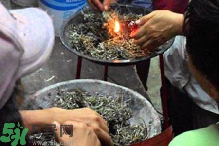 夏天可以用艾草驅(qū)蚊嗎？夏天可不可以用艾草驅(qū)蚊？