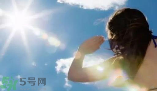 三伏天吃什么？三伏天傳統(tǒng)美食有哪些？