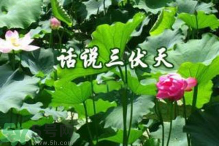 三伏天吃什么？三伏天傳統(tǒng)美食有哪些？