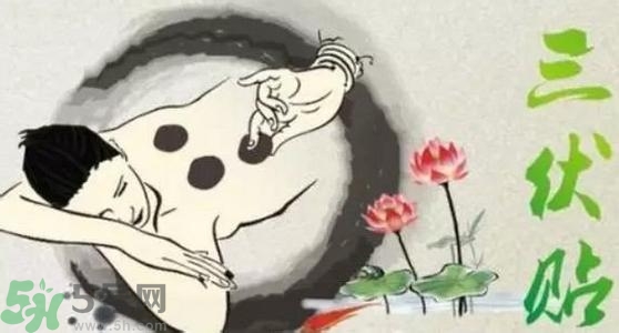 三伏貼有用嗎？三伏貼可以治什么??？