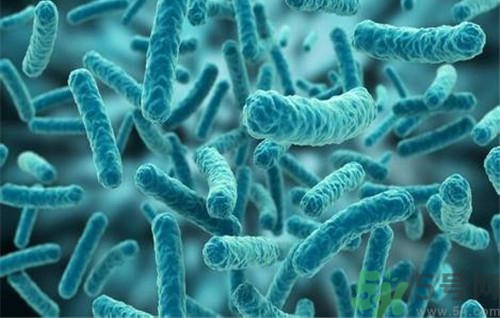 裂谷熱病怎么治？裂谷熱病的癥狀有哪些？