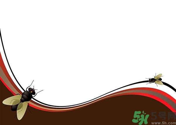 小飛蟲怎么消滅？小飛蟲怎么生出來的？