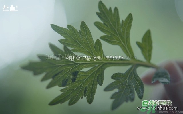 韓律艾草補(bǔ)水鎮(zhèn)靜噴霧怎么樣？好用嗎？