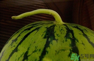 西瓜打針是真的嗎？西瓜打藥了是什么樣子？