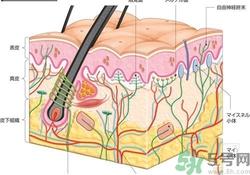 大熱天不出汗什么原因？夏天不出汗怎么辦？