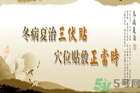 腎病可以貼三伏貼嗎？腎病三伏貼貼哪里？