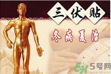 胃病可以貼三伏貼嗎？胃病貼三伏貼貼哪里？