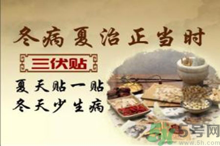 胃病可以貼三伏貼嗎？胃病貼三伏貼貼哪里？