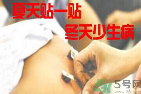 肝炎貼三伏貼有用嗎？肝病貼三伏貼貼哪里？