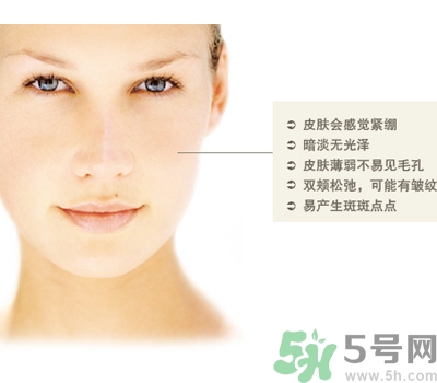 干性皮膚用什么洗面奶？干性皮膚該怎么保養(yǎng)？