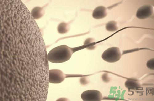 高溫對精子有影響嗎？高溫對精子有什么影響？