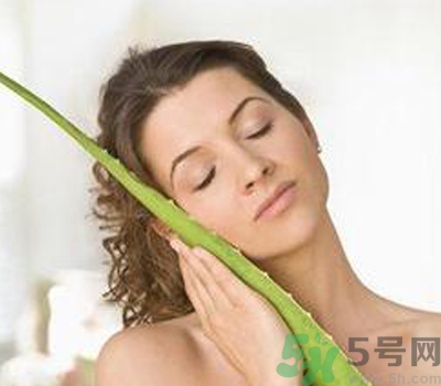 蘆薈膠會(huì)堵塞毛孔嗎？蘆薈膠應(yīng)該怎么用？