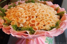 一年共有多少個情人節(jié)？一年中有哪些情人節(jié)？