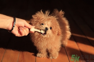 9歲男孩磨牙怎么回事？青少年磨牙是什么原因？