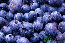 怎么挑選藍(lán)莓？藍(lán)莓怎么保存？