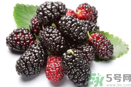 桑葚怎么洗？桑葚怎么保存？