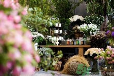 野獸派是什么牌子？野獸派怎么樣？