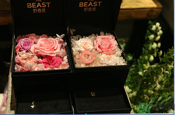 野獸派是什么牌子？野獸派怎么樣？