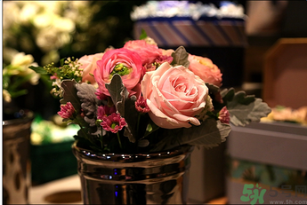 野獸派是什么牌子？野獸派怎么樣？