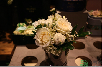 野獸派是什么牌子？野獸派怎么樣？