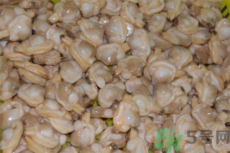 花蛤的營(yíng)養(yǎng)價(jià)值有哪些？生取蛤肉的方法是什么？