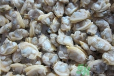 花蛤的營(yíng)養(yǎng)價(jià)值有哪些？生取蛤肉的方法是什么？