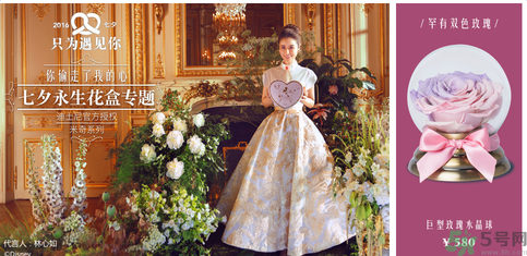 野獸派的花多少錢？野獸派的花哪里買？