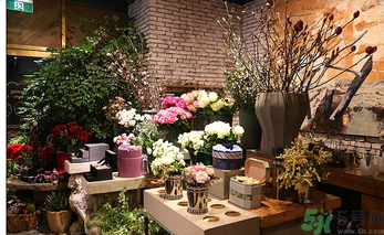 野獸派的花多少錢？野獸派的花哪里買？