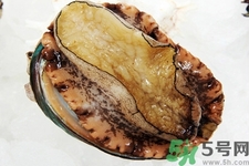 鮑魚如何挑選？鮑魚如何保存？