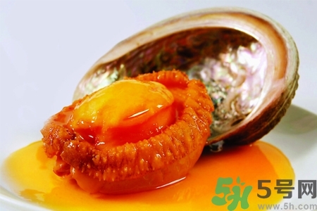 鮑魚如何挑選？鮑魚如何保存？