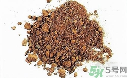 三伏貼的配方是什么？三伏貼的配方有哪些？