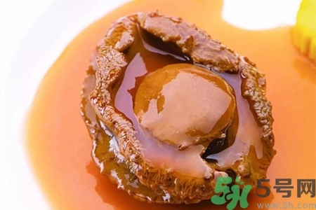 鮑魚如何挑選？鮑魚如何保存？