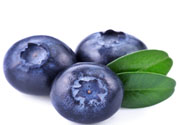 怎么挑選藍(lán)莓？藍(lán)莓怎么保存？