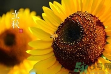 立秋后天氣還熱嗎？立秋后還要熱多久？