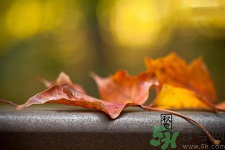 立秋是什么意思？立秋的含義