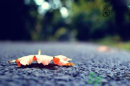 立秋吃什么水果好？立秋吃什么水果？