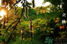 立秋吃什么水果好？立秋吃什么水果？