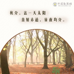 立秋是秋分嗎？立秋和秋分的區(qū)別？