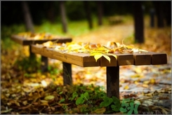 立秋做什么運(yùn)動好？立秋運(yùn)動注意事項(xiàng)