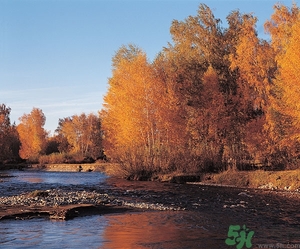 貼秋膘是什么時候？立秋貼秋膘的方法及五大禁忌人群