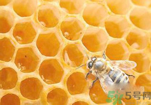 蜂膠有激素嗎？蜂膠吃多了會怎樣？