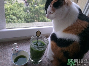 大麥若葉青汁沖飲時的沉淀物能喝嗎?